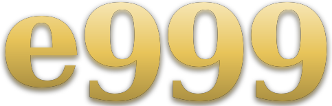 e999 logo